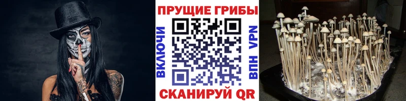 наркотики  Нарьян-Мар  Псилоцибиновые грибы мухоморы 